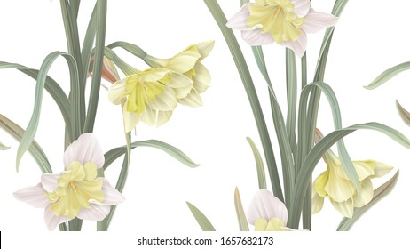 Floral seamless pattern, daffodil flowers with leaves on white