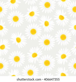 Floral seamless pattern with daisies flowers. Vector background.