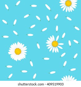 Floral seamless pattern with daisies flowers. Vector background.