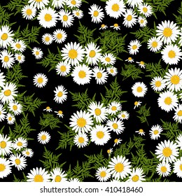 Floral seamless pattern with daisies flowers. Vector background.