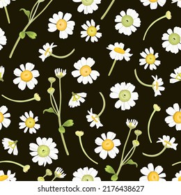 Floral seamless pattern with daisies on black background. Suitable for printing on fabric, textile, wrapping paper, decorative wallpaper, packaging, invitations.