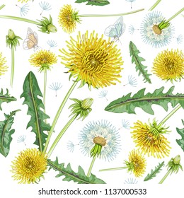 Floral seamless pattern, dandelions print on paper or textile. Dandelions background. Summer plants.