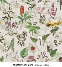 Floral seamless pattern, different swamp plants 