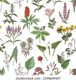 Floral seamless pattern, different swamp plants 