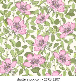 Floral seamless pattern with dog-rose