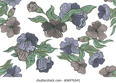 Floral seamless pattern drawn in pencil. Seamless texture with wildflowers plants.