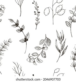 Floral seamless pattern. Eucalyptus twigs, lunar, snowberry, larch  branch. Hand drawn vintage floral sketch print. Black and white vector design. Botanical print for fabric.