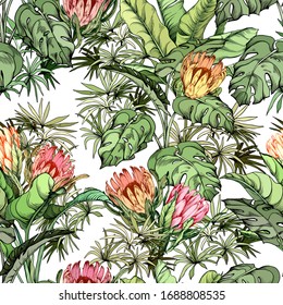 Floral seamless pattern with exotic King Protea flowers and monstera leaves. Hand drawn vector illustration on white background.
