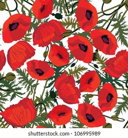 Floral seamless pattern. Flower background. Floral seamless texture with flowers Poppies