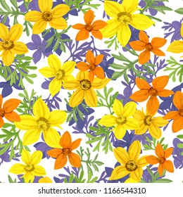 Floral seamless pattern of flowers  Bidens