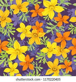 Floral seamless pattern of flowers  Bidens