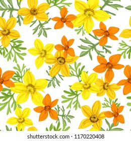 Floral seamless pattern of flowers  Bidens