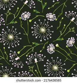 Floral seamless pattern with flowers of decorative garden onion, allium. Suitable for printing on fabric, textile, wrapping paper, decorative wallpaper, 
