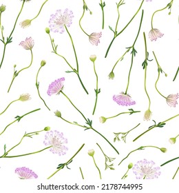Floral sin costuras con flores de cebolla decorativa de jardín, alio. Idóneo para imprimir sobre tela, textiles, papel de envolvimiento, papel decorativo, 