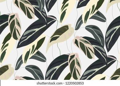 Floral seamless pattern, green, black and white split-leaf   Leaves of Cordelia with vines on white background, pastel vintage theme. Vector