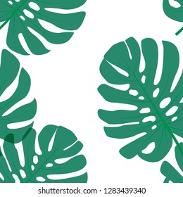 Floral seamless pattern, green monstera leafs. Philodendron plant on white background, pastel theme.