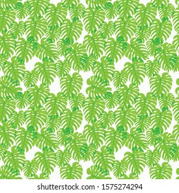 Floral Seamless Pattern, Green And White Split-leaf Philodendron Plant With Vines On White Background