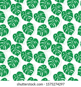 Floral Seamless Pattern, Green And White Split-leaf Philodendron Plant With Vines On White Background