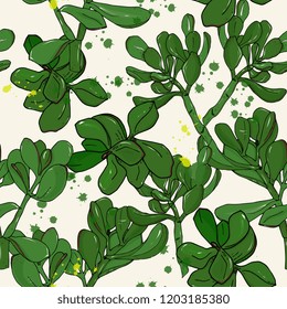floral seamless pattern. Hand drawing, realistic Crassula ovata,Exotic decorative houseplants . cards, paper wrapper,fabric