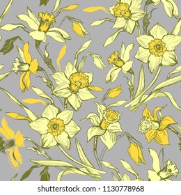 Floral seamless pattern with hand drawn flowers daffodils, narcissus.Yellow floral elements on grey background.. Vector Illustration