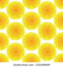 Floral seamless pattern. Hand drawn yellow head of dandelion officinale. Wildflower. Taraxacum. Design for wallpaper, textiles, wrapping, card, print on clothes, packaging. Vector illustration, eps10