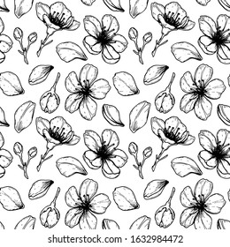 Floral seamless pattern with hand drawn spring cherry flowers, petals and buds. Vector illustration in sketch style isolated on white.