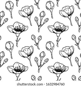 Floral seamless pattern with hand drawn spring cherry flowers and buds. Vector illustration in sketch style isolated on white.