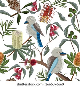 Floral Seamless Pattern Of Hand Drawn Australia Kookaburra And Gum Tree And Native Flower,protea With Gravellia On White Background