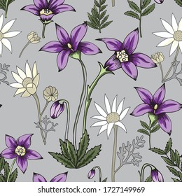 floral sin costura patrón de flor australia de tracción manual flor nativa real azul y franela blanca sobre fondo gris plateado