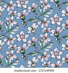 Blütennahtloses Muster handgezeichneter australischer Blumenblumenkirche auf hellblauem Hintergrund