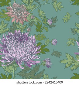 Floral seamless pattern of hand drawn chrysanthemums. Vector pattern of pink and lilac flowers on a teal background.