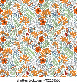 Floral seamless pattern. Herbal form, flowers, leaves, ladybug on a white background, hand-drawn vector.