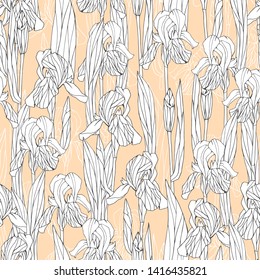 Floral seamless pattern with iris.