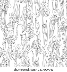 Floral seamless pattern with iris.