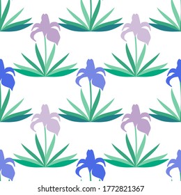 Floral seamless pattern with iris flowers. Design elements for natural beauty products, cosmetics, women's products. Vector illustration for web design or print.