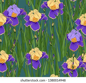 Floral seamless pattern. Irises in the meadow in the spring.