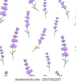 Floral seamless pattern with lavender flowers. Botanical background. Vector cartoon flat illustration.