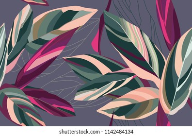 Floral seamless pattern. Leaves of Cordelia on a dark gray background. Botanical pattern.