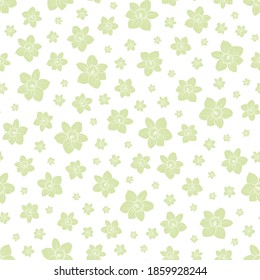 Floral seamless pattern: light green daffodils, white background. Hand drawn narcissus flower. Delicate spring illustration for natural or wedding design, fabric, wrapping, paper dishes print.