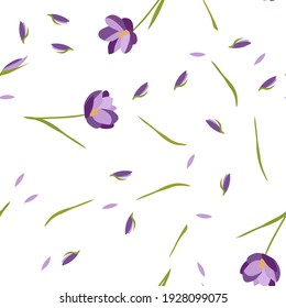 Patrón floral sin fisuras. Crocus lilac, flor primaveral. Para tejidos, fondos, papel pintado, embalaje, cubierta o decoración de diseño. Interminable ornamento en blanco. Vector