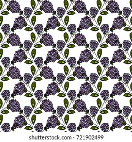 Floral seamless pattern. Lilac inflorescence. Clover on a white background