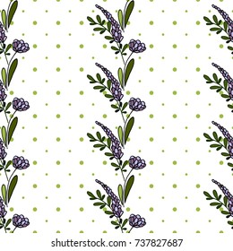 Floral seamless pattern. Lilac inflorescence. Lavender. Stripes of flowers on a white background. Background in polka dots
