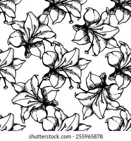 Floral seamless pattern of lily flowers, drawing, graphics.