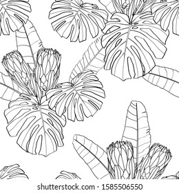 Floral Seamless pattern. Line exotic protea (Sugar bushes and African) flowers and monstera leaves. Textile composition, hand drawn style print. Vector illustration.