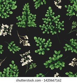 Floral seamless pattern with Miracle Tree or Moringa oleifera leaves and flowers. Natural backdrop with foliage and inflorescences of cultivated plant. Realistic vector illustration in vintage style.