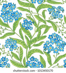 Floral seamless pattern of myosotis
