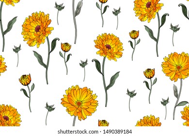 Floral seamless pattern with orange flowers calendula and green leaves on white background. For textile, wallpapers, print, greeting. Vector.