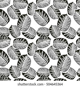 Floral seamless pattern with palm tropical leaves. Exotic black and white background.