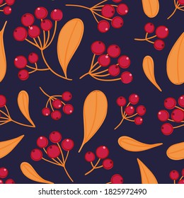 Patrón floral sin fisuras con panicles de bayas. Colorido fondo repetitivo con planta. Diseño para papel de pared, textiles, papel de envoltura, portaobjetos, cabecera. Ilustración vectorial, eps10