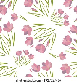 Patrón floral sin fisuras. Crocus rosado, flor primaveral. Para tejidos, fondos, papel pintado, embalaje, cubierta o decoración de diseño. Interminable ornamento en blanco. Vector